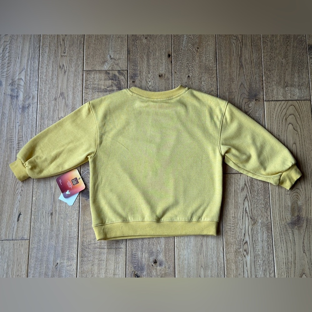 NEW Disney The Lion King Simba Crewneck Sweatshirt Unisex size 3T - Picture 4 of 6
